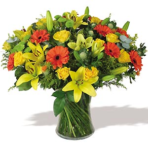 Envio y venta de flores ,rosas, plantas,arreglos florales ,regalos y desayunos a domicilio con delivery gratis en la Ciudad Autonoma de Buenos Aires y con costo de env�o en localidades del Gran Buenos Aires asi como delivery de flores y plantas a trav�s de florerias asociadas en todas las provincias de la Argentina, Buenos Aires, la Pampa, Tucuman, La Rioja, R�o Negro, Entre Rios, Corrientes, Misiones, Neuquen, Chubut, Tierra del Fuego, Santa Cruz, San Luis, Mendoza, Cordoba, Jujuy, Formosa, Santiago del Estero, Salta, Chaco, Catamarca ,San Juan, y ademas realizamos el delivery de flores ,coronas,palmas , plantas y regalos a todas las ciudades de Argentina, Mar del Plata, C�rdoba, Buenos Aires, con cargo en Santa Rosa, La Plata, Bella Vista, Neuquen, Pilar, Paran�, Posadas, Resistencia, Cipolleti y mas de 300 ciudades y localidades en todo el territorio de nuestro pa�s, asi como tambien tenemos la posibilidad de enviar flores a casi todo el mundo en cuestion de horas